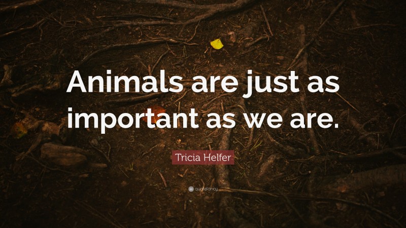Tricia Helfer Quote: “Animals are just as important as we are.”