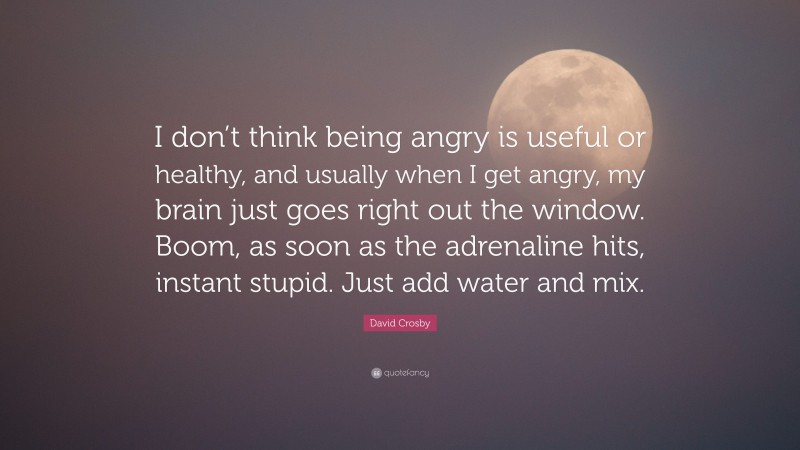 David Crosby Quote: “I don’t think being angry is useful or healthy, and usually when I get angry, my brain just goes right out the window. Boom, as soon as the adrenaline hits, instant stupid. Just add water and mix.”