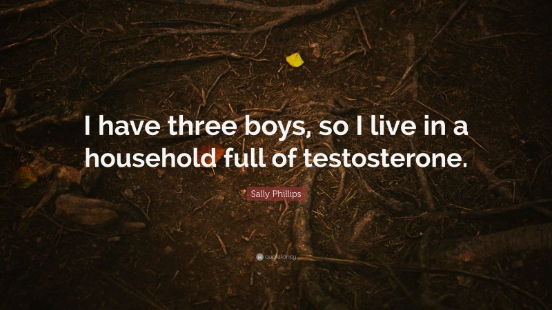 Sally Phillips Quote: “I have three boys, so I live in a household full of testosterone.”