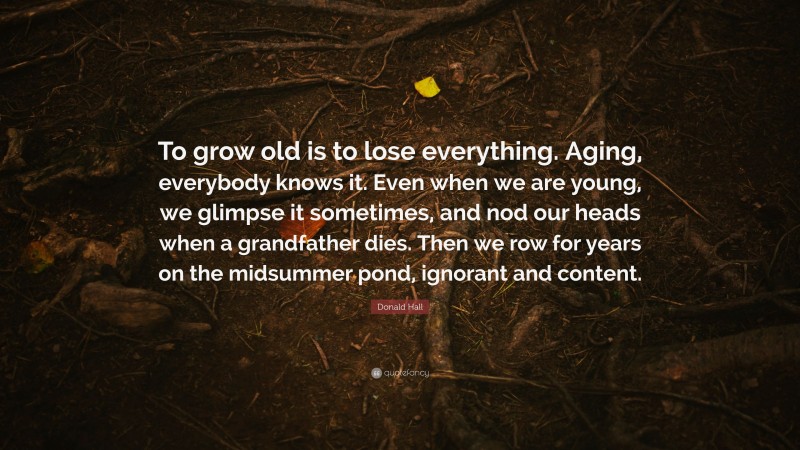 Donald Hall Quote: “To grow old is to lose everything. Aging, everybody knows it. Even when we are young, we glimpse it sometimes, and nod our heads when a grandfather dies. Then we row for years on the midsummer pond, ignorant and content.”