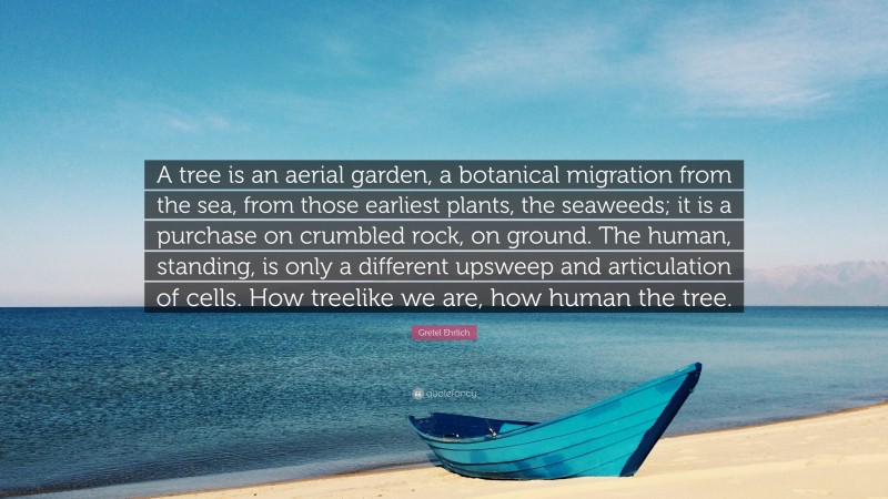 Gretel Ehrlich Quote: “A tree is an aerial garden, a botanical migration from the sea, from those earliest plants, the seaweeds; it is a purchase on crumbled rock, on ground. The human, standing, is only a different upsweep and articulation of cells. How treelike we are, how human the tree.”