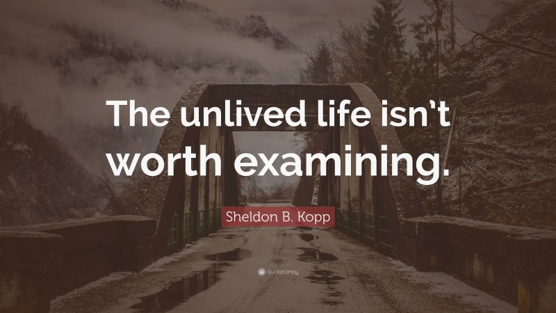 Sheldon B. Kopp Quote: “The unlived life isn’t worth examining.”