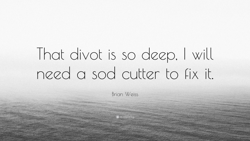 Brian Weiss Quote: “That divot is so deep, I will need a sod cutter to fix it.”