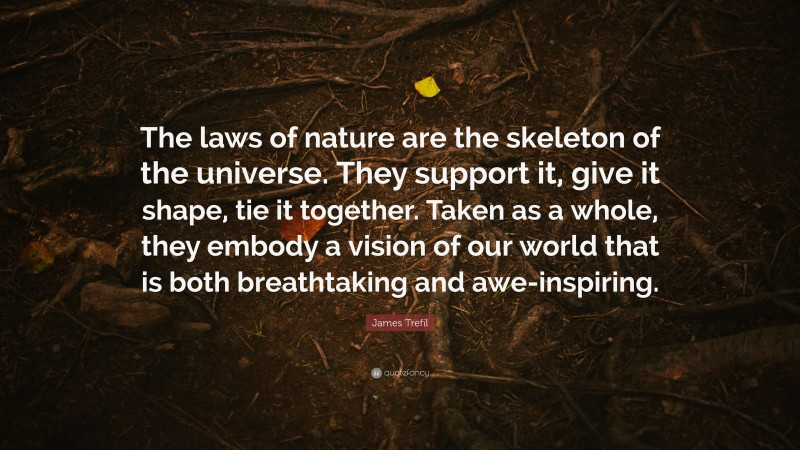 James Trefil Quote: “The laws of nature are the skeleton of the universe. They support it, give it shape, tie it together. Taken as a whole, they embody a vision of our world that is both breathtaking and awe-inspiring.”