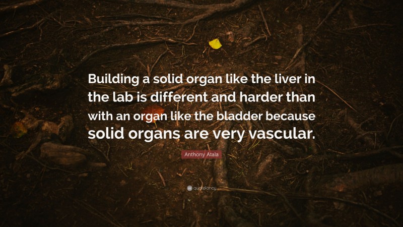 Anthony Atala Quote: “Building a solid organ like the liver in the lab is different and harder than with an organ like the bladder because solid organs are very vascular.”