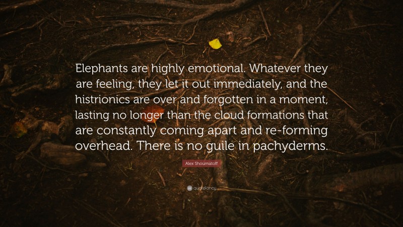Alex Shoumatoff Quote: “Elephants are highly emotional. Whatever they are feeling, they let it out immediately, and the histrionics are over and forgotten in a moment, lasting no longer than the cloud formations that are constantly coming apart and re-forming overhead. There is no guile in pachyderms.”