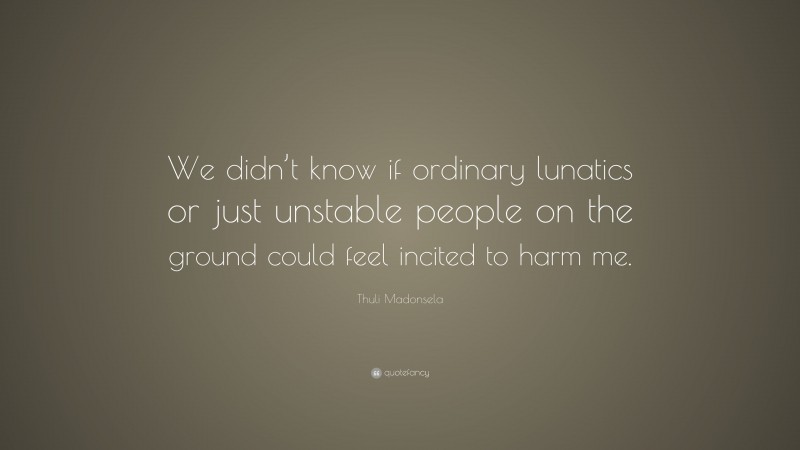 Thuli Madonsela Quote: “We didn’t know if ordinary lunatics or just unstable people on the ground could feel incited to harm me.”