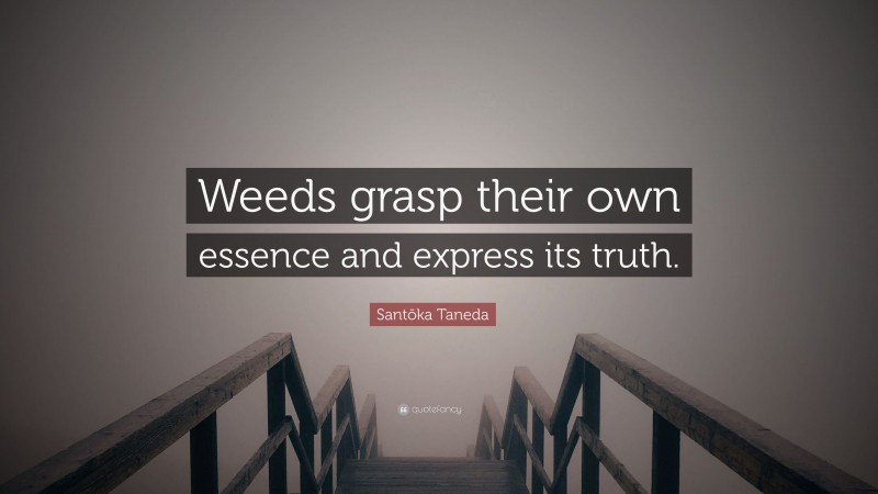 Santōka Taneda Quote: “Weeds grasp their own essence and express its truth.”