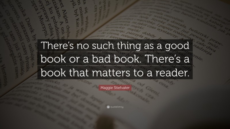 Maggie Stiefvater Quote: “There’s no such thing as a good book or a bad book. There’s a book that matters to a reader.”