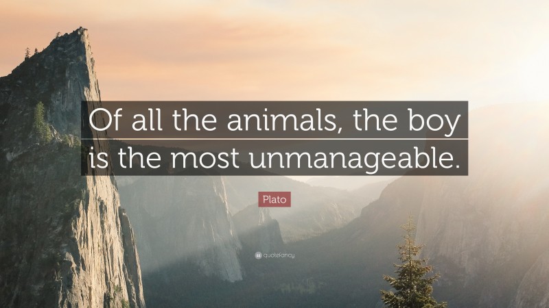 Plato Quote: “Of all the animals, the boy is the most unmanageable.”