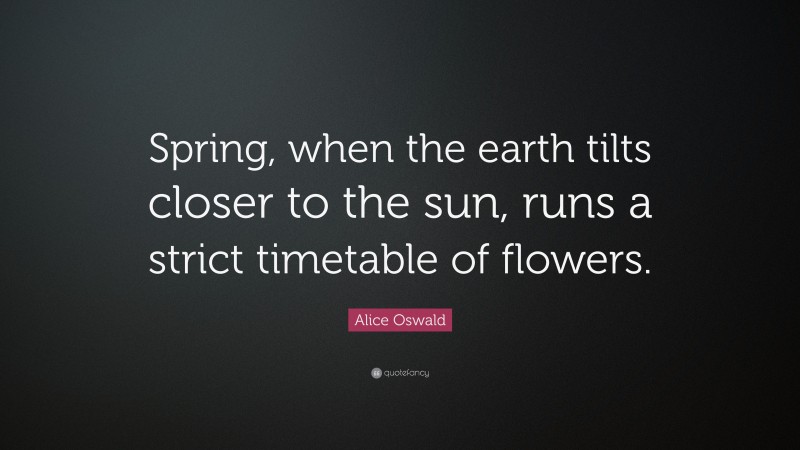 Alice Oswald Quote: “Spring, when the earth tilts closer to the sun, runs a strict timetable of flowers.”
