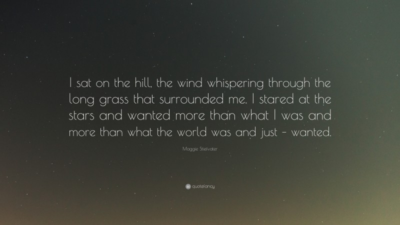 Maggie Stiefvater Quote: “I sat on the hill, the wind whispering through the long grass that surrounded me. I stared at the stars and wanted more than what I was and more than what the world was and just – wanted.”