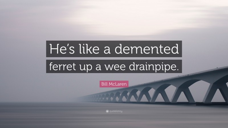 Bill McLaren Quote: “He’s like a demented ferret up a wee drainpipe.”