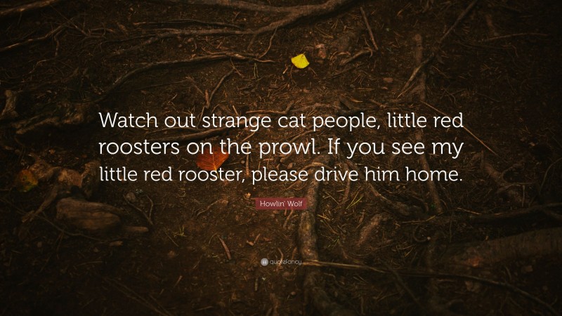 Howlin' Wolf Quote: “Watch out strange cat people, little red roosters on the prowl. If you see my little red rooster, please drive him home.”