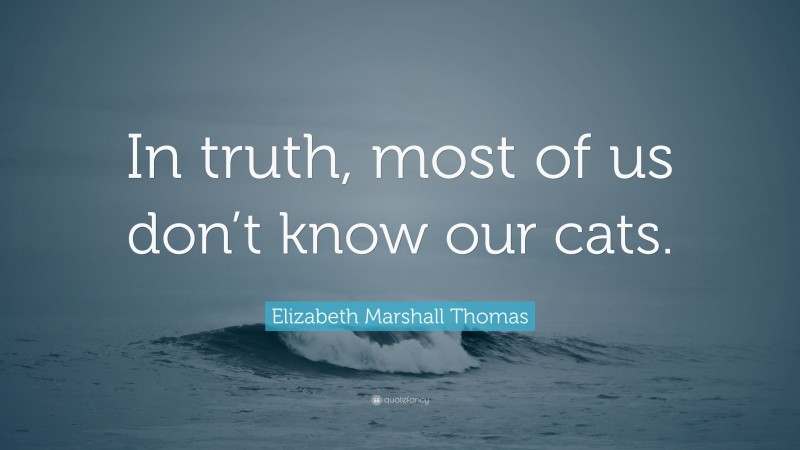 Elizabeth Marshall Thomas Quote: “In truth, most of us don’t know our cats.”