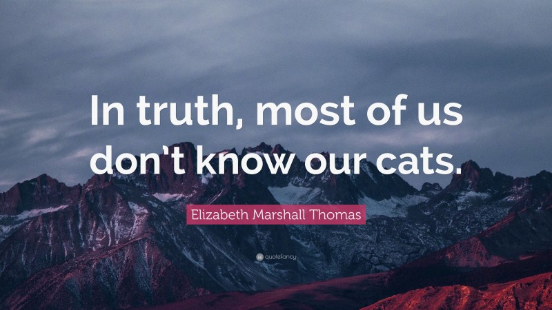 Elizabeth Marshall Thomas Quote: “In truth, most of us don’t know our cats.”
