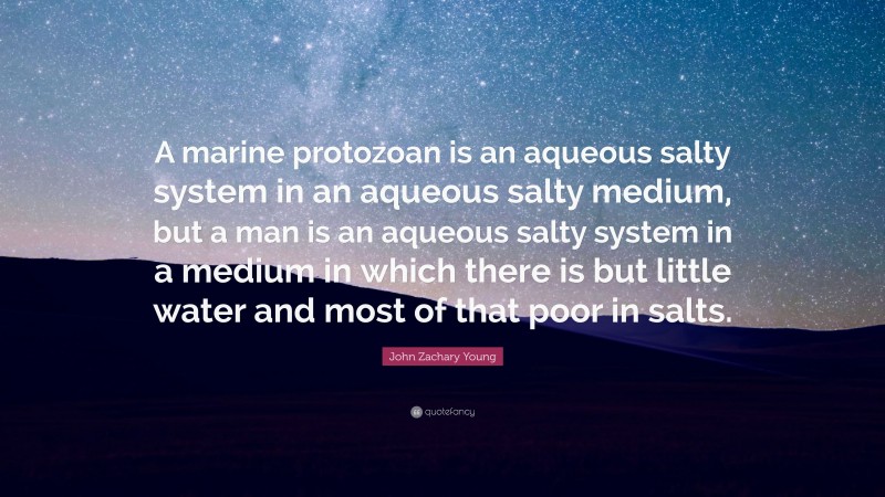 John Zachary Young Quote: “A marine protozoan is an aqueous salty system in an aqueous salty medium, but a man is an aqueous salty system in a medium in which there is but little water and most of that poor in salts.”
