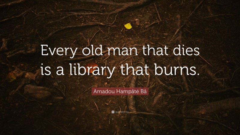 Amadou Hampâté Bâ Quote: “Every old man that dies is a library that burns.”