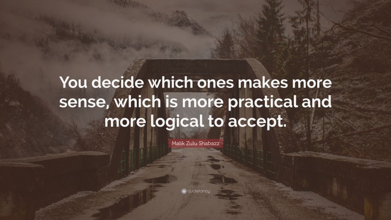 Malik Zulu Shabazz Quote: “You decide which ones makes more sense, which is more practical and more logical to accept.”