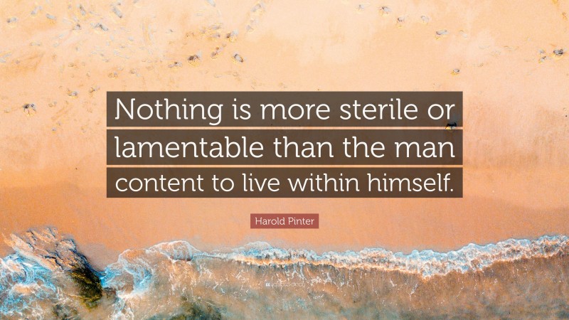 Harold Pinter Quote: “Nothing is more sterile or lamentable than the man content to live within himself.”