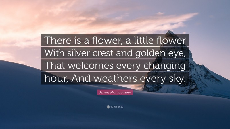James Montgomery Quote: “There is a flower, a little flower With silver crest and golden eye, That welcomes every changing hour, And weathers every sky.”