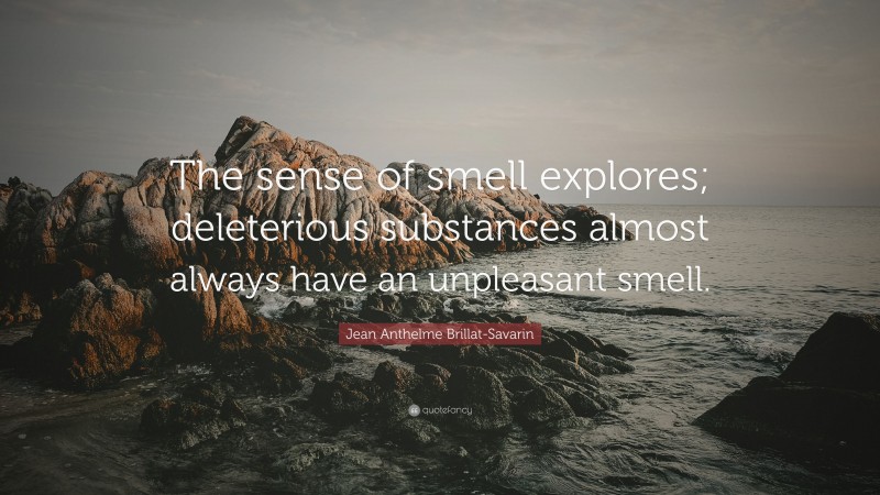 Jean Anthelme Brillat-Savarin Quote: “The sense of smell explores; deleterious substances almost always have an unpleasant smell.”