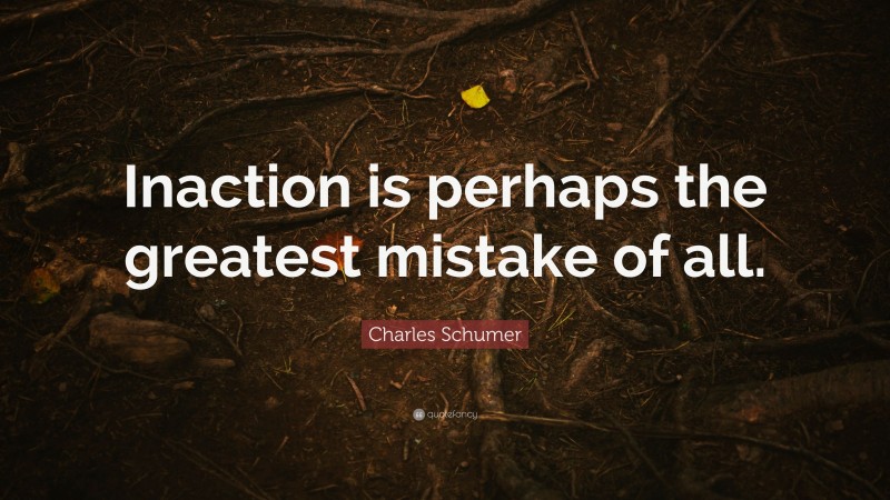 Charles Schumer Quote: “Inaction is perhaps the greatest mistake of all.”