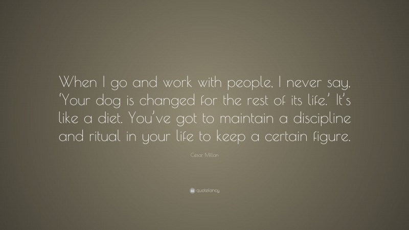 Cesar Millan Quote: “When I go and work with people, I never say, ‘Your dog is changed for the rest of its life.’ It’s like a diet. You’ve got to maintain a discipline and ritual in your life to keep a certain figure.”