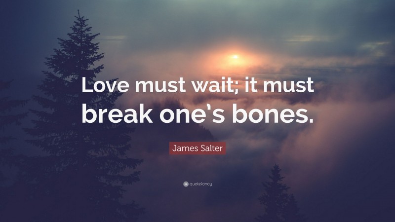 James Salter Quote: “Love must wait; it must break one’s bones.”