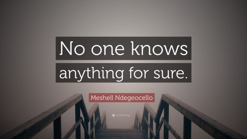 Meshell Ndegeocello Quote: “No one knows anything for sure.”