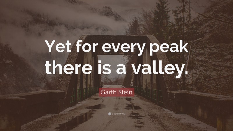 Garth Stein Quote: “Yet for every peak there is a valley.”