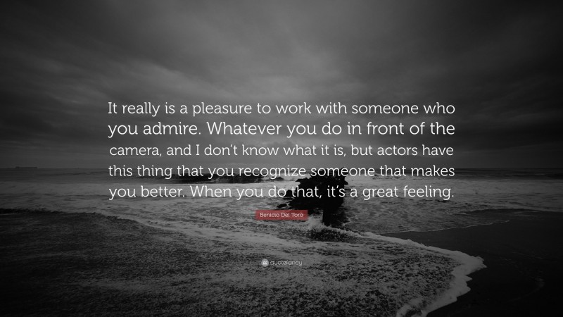 Benicio Del Toro Quote: “It really is a pleasure to work with someone who you admire. Whatever you do in front of the camera, and I don’t know what it is, but actors have this thing that you recognize someone that makes you better. When you do that, it’s a great feeling.”