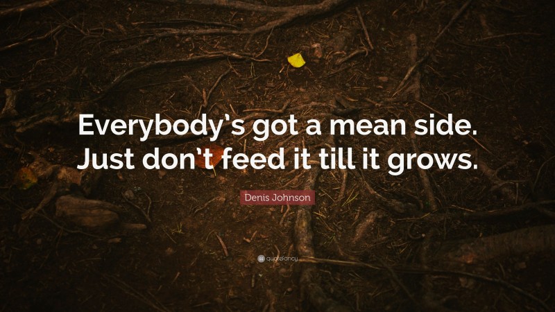 Denis Johnson Quote: “Everybody’s got a mean side. Just don’t feed it till it grows.”