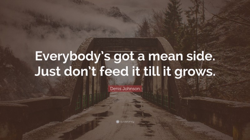 Denis Johnson Quote: “Everybody’s got a mean side. Just don’t feed it till it grows.”