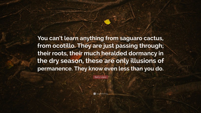 Barry López Quote: “You can’t learn anything from saguaro cactus, from ocotillo. They are just passing through; their roots, their much heralded dormancy in the dry season, these are only illusions of permanence. They know even less than you do.”