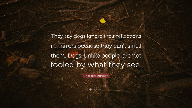Theodore Sturgeon Quote: “They say dogs ignore their reflections in mirrors because they can’t smell them. Dogs, unlike people, are not fooled by what they see.”