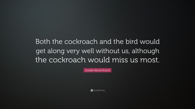 Joseph Wood Krutch Quote: “Both the cockroach and the bird would get along very well without us, although the cockroach would miss us most.”