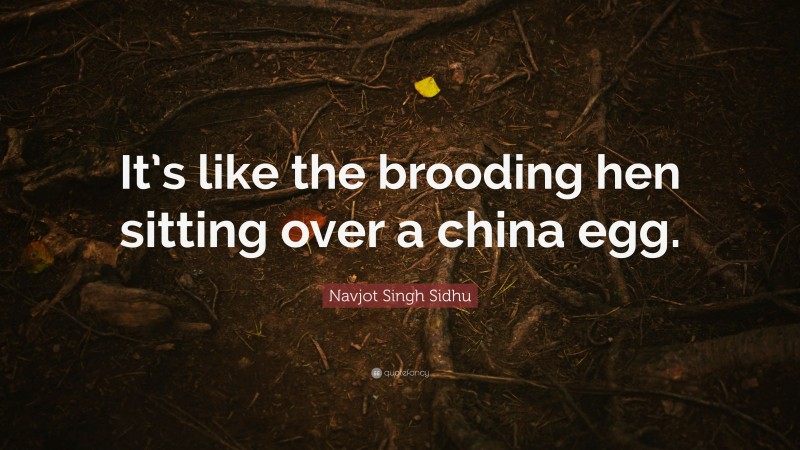 Navjot Singh Sidhu Quote: “It’s like the brooding hen sitting over a china egg.”