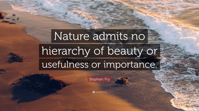 Stephen Fry Quote: “Nature admits no hierarchy of beauty or usefulness or importance.”