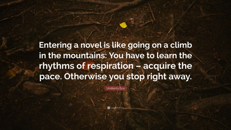 Umberto Eco Quote: “Entering a novel is like going on a climb in the mountains: You have to learn the rhythms of respiration – acquire the pace. Otherwise you stop right away.”