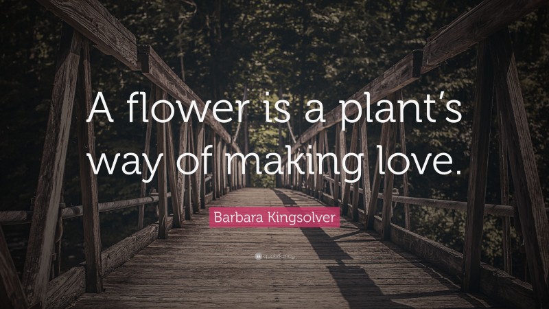 Barbara Kingsolver Quote: “A flower is a plant’s way of making love.”