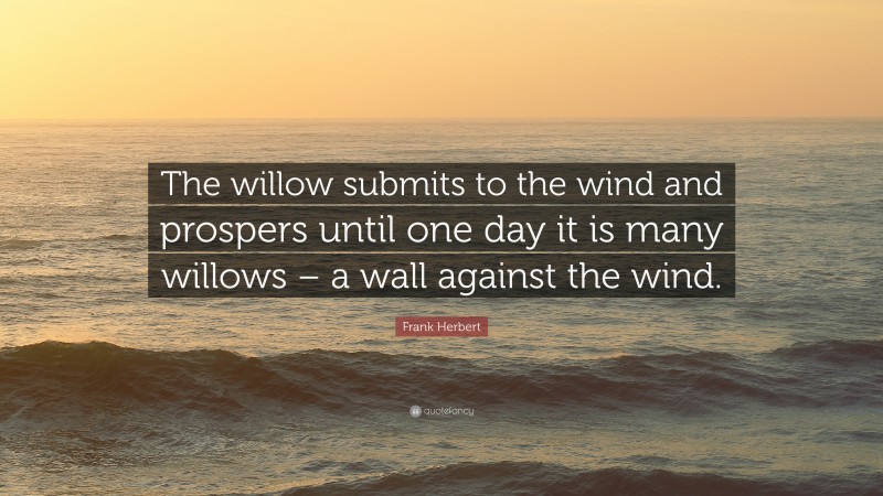Frank Herbert Quote: “The willow submits to the wind and prospers until one day it is many willows – a wall against the wind.”