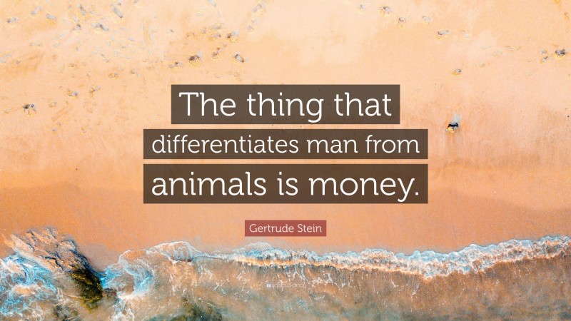 Gertrude Stein Quote: “The thing that differentiates man from animals is money.”