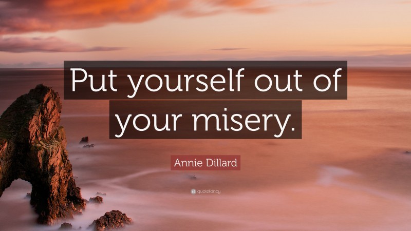 Annie Dillard Quote: “Put yourself out of your misery.”