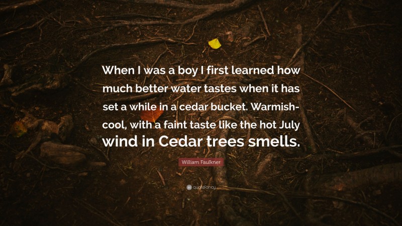 William Faulkner Quote: “When I was a boy I first learned how much better water tastes when it has set a while in a cedar bucket. Warmish-cool, with a faint taste like the hot July wind in Cedar trees smells.”