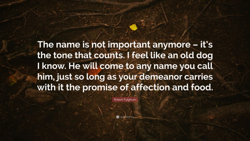 Robert Fulghum Quote: “The name is not important anymore – it’s the tone that counts. I feel like an old dog I know. He will come to any name you call him, just so long as your demeanor carries with it the promise of affection and food.”