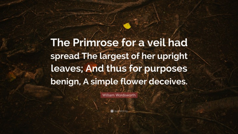 William Wordsworth Quote: “The Primrose for a veil had spread The largest of her upright leaves; And thus for purposes benign, A simple flower deceives.”