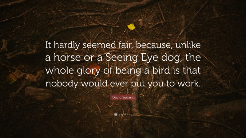 David Sedaris Quote: “It hardly seemed fair, because, unlike a horse or a Seeing Eye dog, the whole glory of being a bird is that nobody would ever put you to work.”