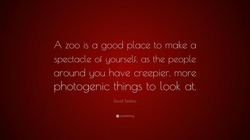 David Sedaris Quote: “A zoo is a good place to make a spectacle of yourself, as the people around you have creepier, more photogenic things to look at.”