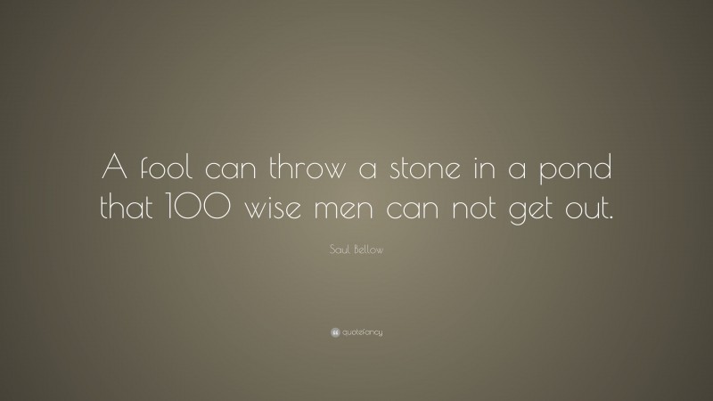 Saul Bellow Quote: “A fool can throw a stone in a pond that 100 wise men can not get out.”